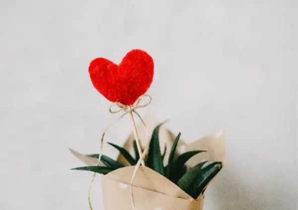 愛是理解且試著接納：用你自己想要的方式愛自己