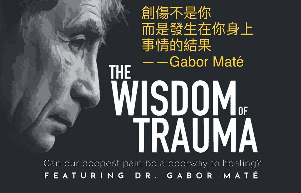 紀錄片《創傷的智慧》(the Wisdom of Trauma)